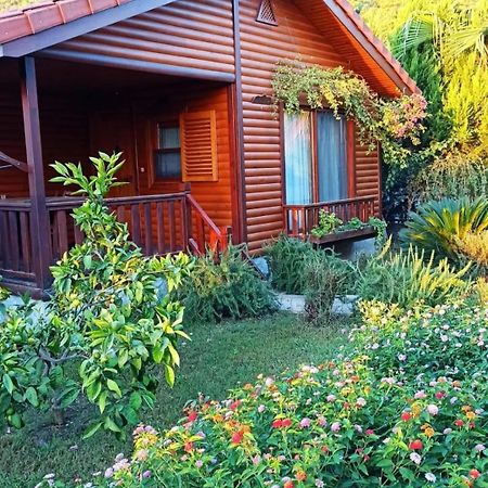 Leontopolis Apart Otel Çıralı Exteriör bild