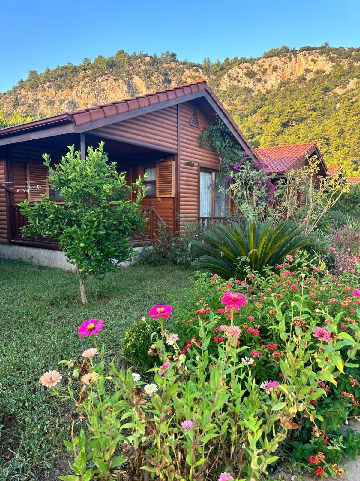 Leontopolis Apart Otel Çıralı Exteriör bild